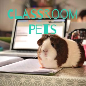 Classroom Pets