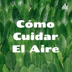 Cómo Cuidar El Aire