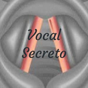 Vocal Secreto