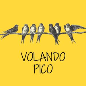 Volando Pico