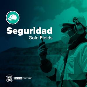 Seguridad Gold Fields