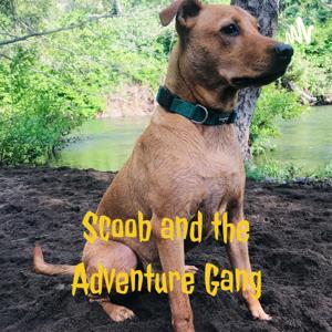 Scoob and the Adventure Gang