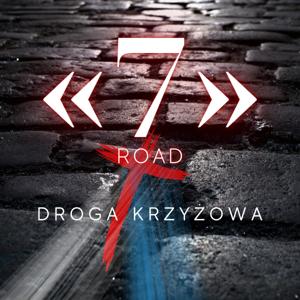 DROGA KRZYŻOWA 7 _ ROAD