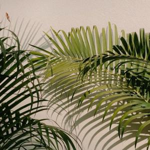 The Seeking Growth Podcast