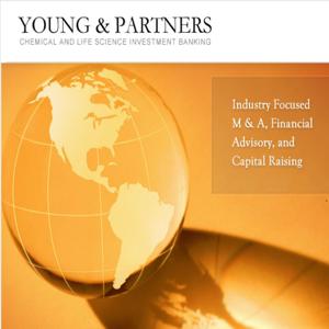 Young & Partners