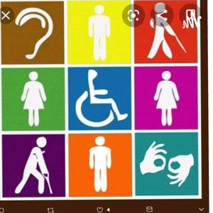 COMUNIDAD INCLUSIVA Y DISCAPACIDAD