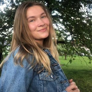 Z pohledu melancholika