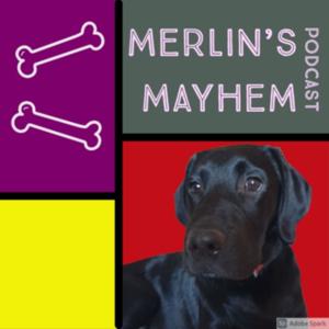 Merlin's Mayhem Podcast