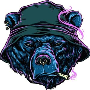 Bear's World