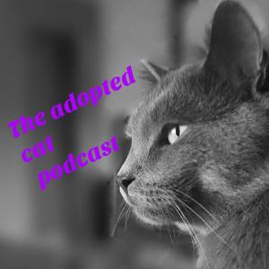 The_Adopted_Cat
