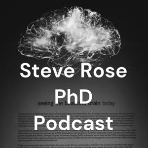 Steve Rose PhD Podcast