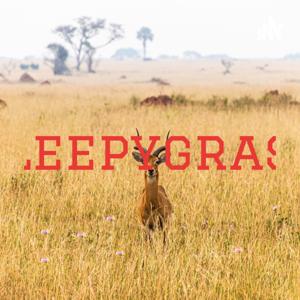 Sleepygrass