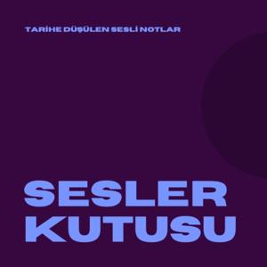 Tarihe sesli notlar