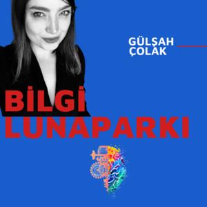 Bilgi Lunaparkı