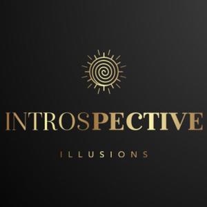 Introspective Illusions