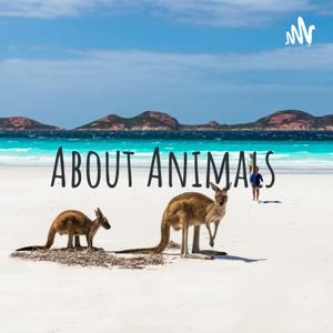 About Animals