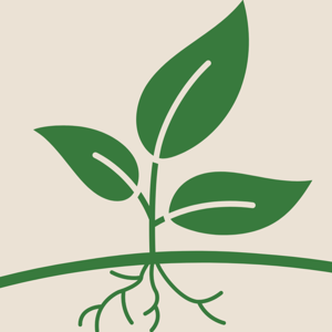 Clarence Church of Christ