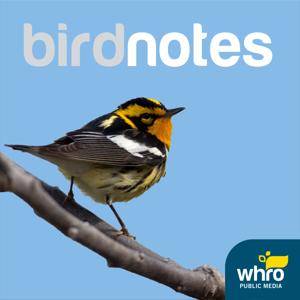 BirdNotes by WHRO Public Media