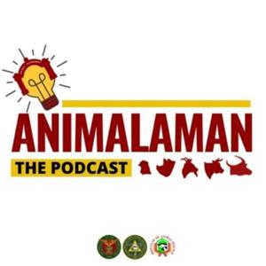 ANIMALAMAN: The Podcast