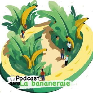 Dans la bananeraie:Le podcast des multipassionnés sur le développement humain et l’énergie positive