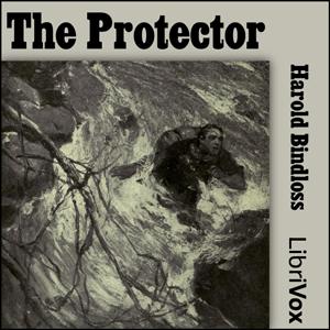Protector, The by Harold Bindloss (1866 - 1945)