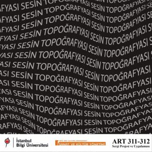 Sesin Topoğrafyası