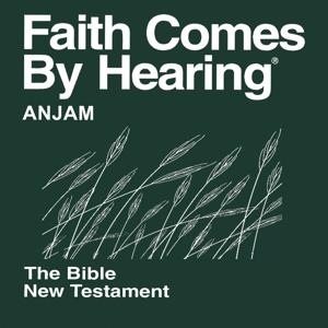 Anjam Bible (Non-Dramatized)