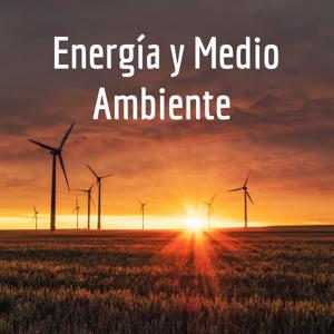 Energía Y Medio Ambiente