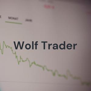 Wolf Trader - do zero ao cem em OB