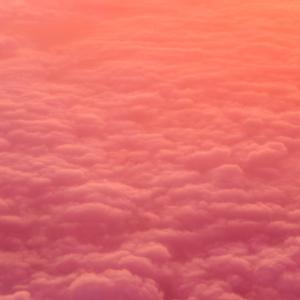 Como conseguir empleo