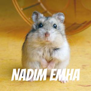 Nadim Emha