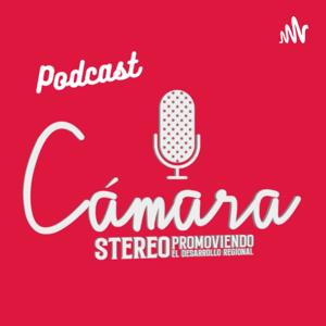 Cámara Stereo