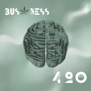 Business420