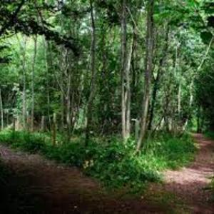 Sharing the Journey
