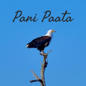 Pani Paata