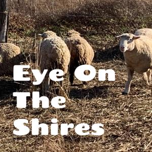 Eye On The Shires