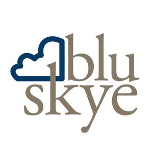 Blu Skye: sustainability, environment, and leadership