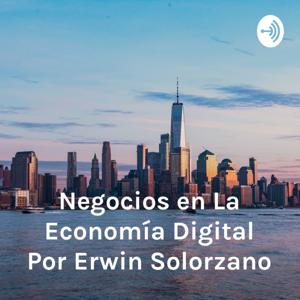 Negocios en La Economía Digital Por Erwin Solorzano