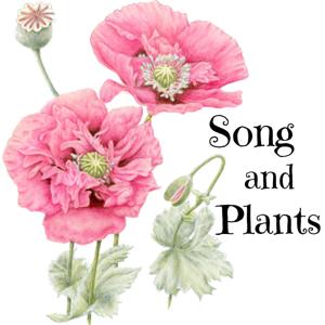 Song and Plants