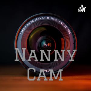 Nanny Cam