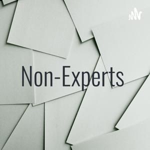 Non-Experts