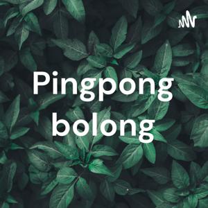 Pingpong bolong
