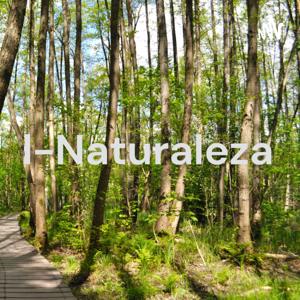 Humanidad-Naturaleza