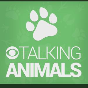 Talking Animals