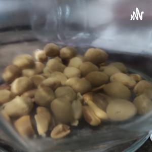 Kacang Kuningg