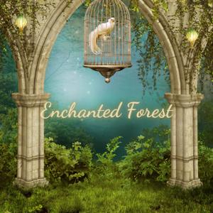 Enchanted Forest