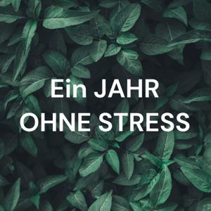 Ein JAHR OHNE STRESS - FreeYourself