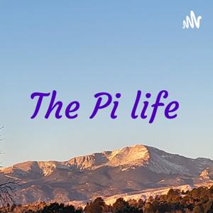 The Pi life making sense of pitfalls of communication & management or ownership.