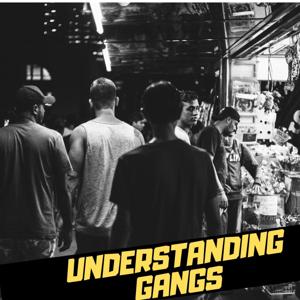 UNDERSTANDING GANGS by Circle Of Insight Productions