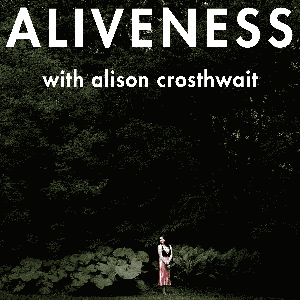 Aliveness: Technology, love, money, sex, soul, governance